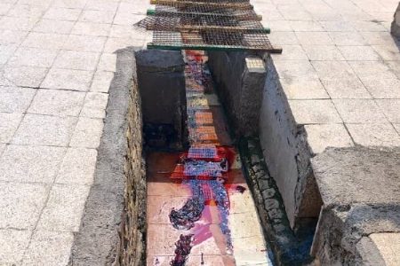 کشتارگاه دام بندرعباس به دلیل تهدید علیه سلامت عمومی پلمب شد